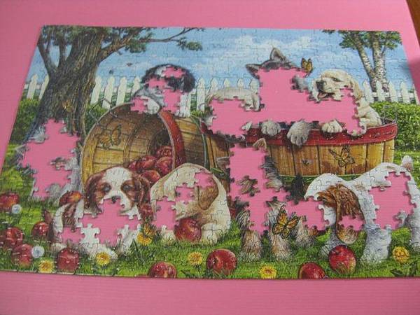 2012.06.14 500P Playful Pups (4)