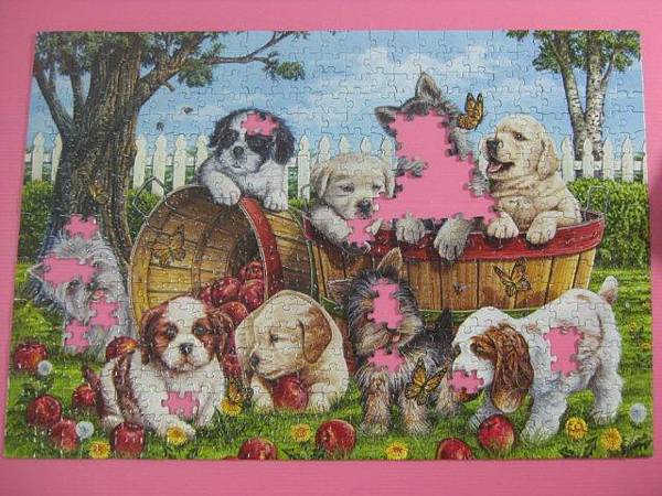 2012.06.14 500P Playful Pups (5)