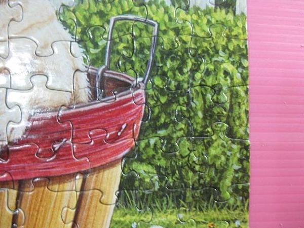 2012.06.14 500P Playful Pups (11)