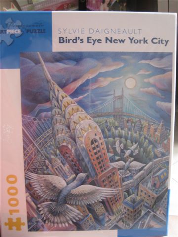 2012.07.07 1000P Bird's Eye New York City.jpg.JPG