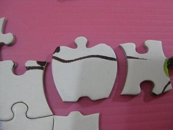 2012.08.02 1000P 長壽的心得 (6)