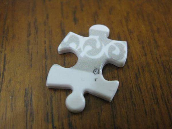 2012.08.15 500P 圖騰大象 (2)