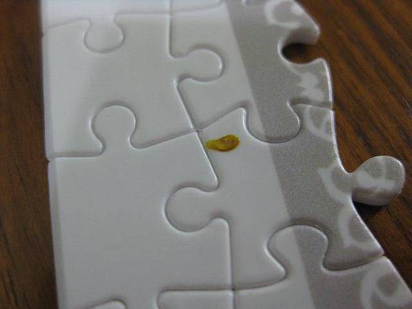 2012.08.15 500P 圖騰大象 (8)