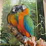 2012.08.17 1000P Cozy Macaws (1)