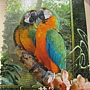 2012.08.17 1000P Cozy Macaws (1)