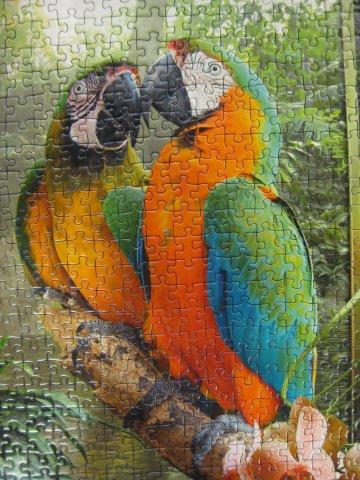 2012.08.17 1000P Cozy Macaws (3)