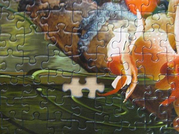 2012.08.17 1000P Cozy Macaws (6)