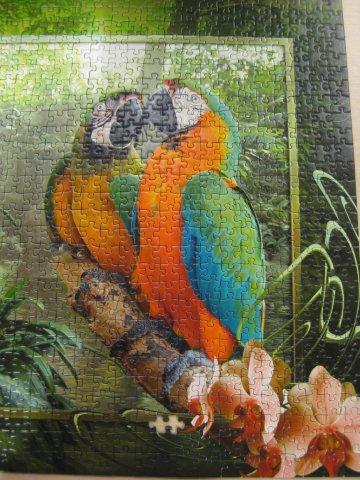 2012.08.17 1000P Cozy Macaws (9)