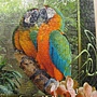 2012.08.17 1000P Cozy Macaws (9)