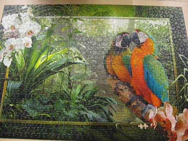 2012.08.17 1000P Cozy Macaws (10)