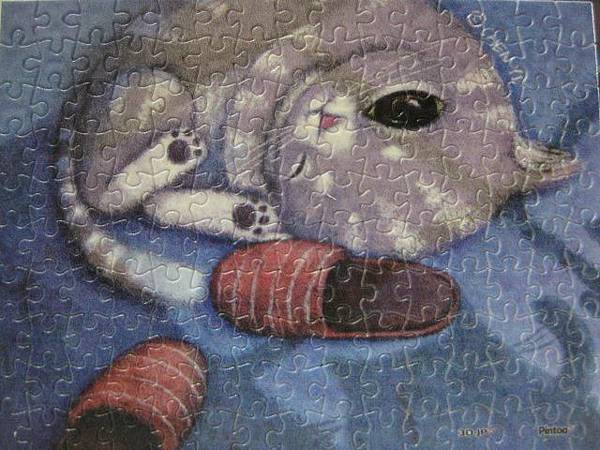 2012.11.17 150P Flighty Mumu (4)