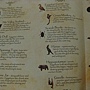 2012.11.21 300P Pharaoh's Egypt (5)