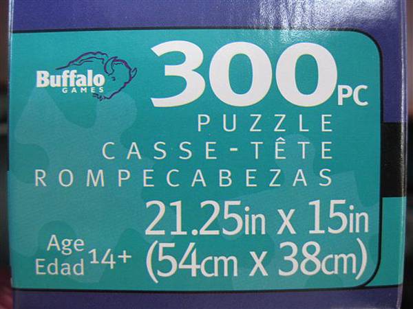 2012.11.22 300P Neuschwanstein Castle (2).JPG