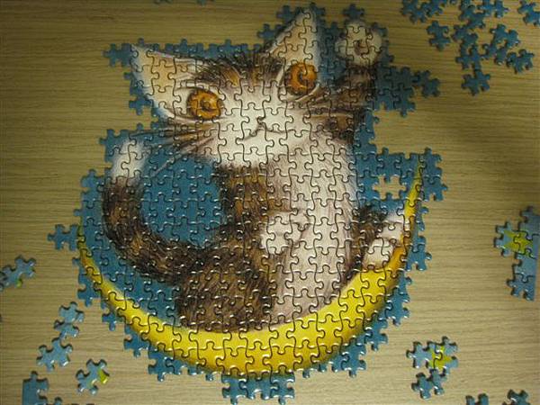 2012.11.29 mini 500P 達洋抓星星 (1).JPG