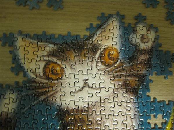 2012.11.29 mini 500P 達洋抓星星 (2).JPG