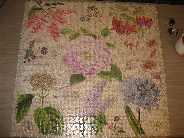 2013.03.04-05 1000P Royal Botanic Gardens KEW (6).JPG