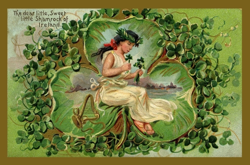 Shamrock of Ireland - $65