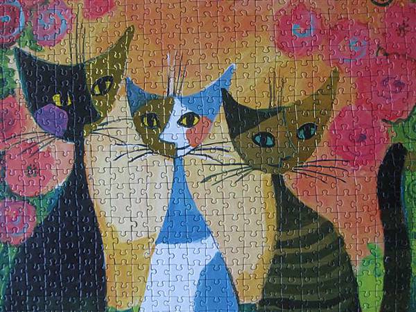 2013.03.16 1000P Roses (2).JPG