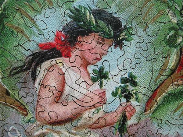 2013.04.13 255P Shamrock of Ireland (16).JPG