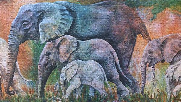 2013.08.03 1000PParade of Elephant (5).jpg