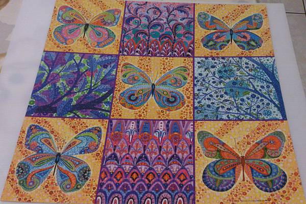 2013.09.10 500P Colorful Butterflies (1).jpg