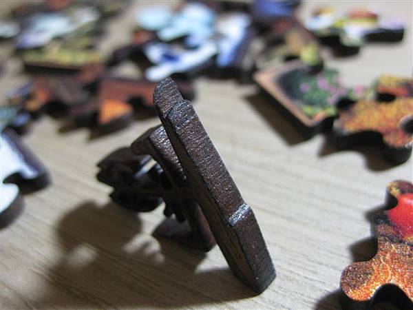 2013.10.18 45P 四季迷情 Four Seasons (6).JPG