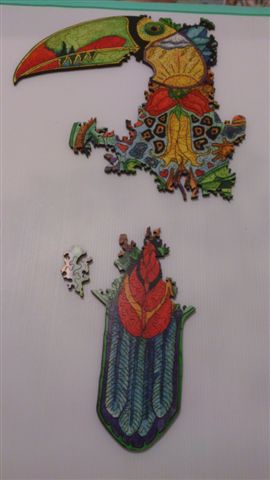 2014.01.28 323pcs Toucan (5).jpg