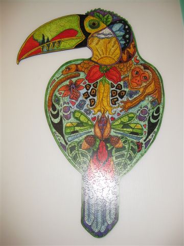 2014.01.28 323pcs Toucan (6).JPG