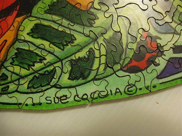 2014.01.28 323pcs Toucan (10).JPG