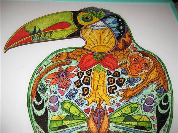 2014.01.28 323pcs Toucan (11).JPG