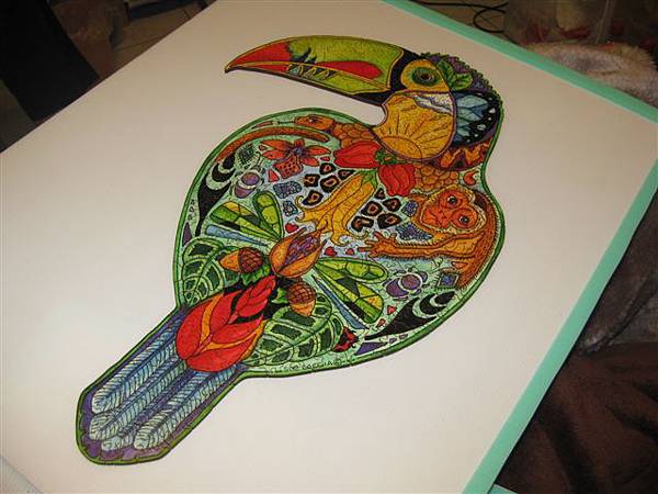 2014.01.28 323pcs Toucan (17).JPG