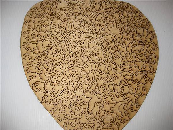 2014.01.28 323pcs Toucan (20).JPG