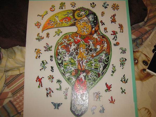 2014.01.28 323pcs Toucan (23).JPG