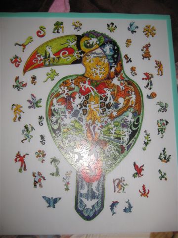 2014.01.28 323pcs Toucan (22).JPG