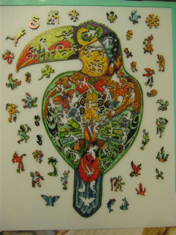 2014.01.28 323pcs Toucan (24).JPG