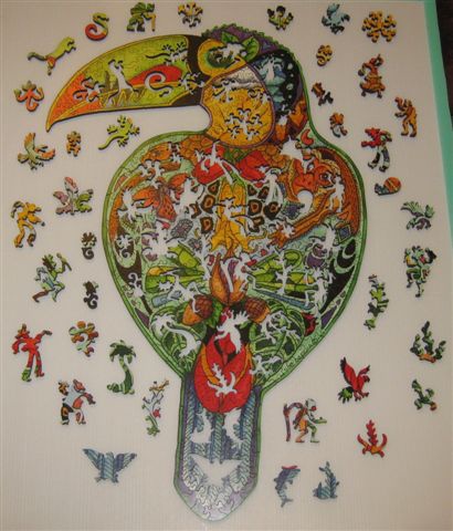 2014.01.28 323pcs Toucan (26).JPG