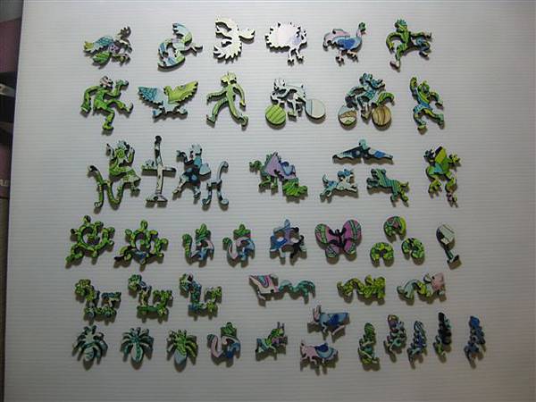 2014.01.29 374pcs Peacock (7).JPG