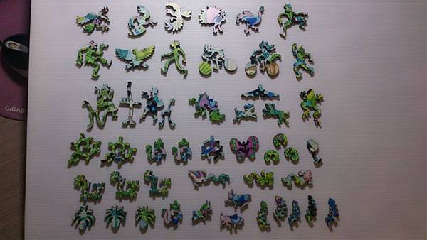 2014.01.29 374pcs Peacock (6).jpg