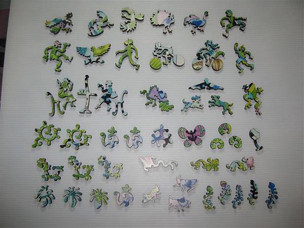 2014.01.29 374pcs Peacock (8).JPG