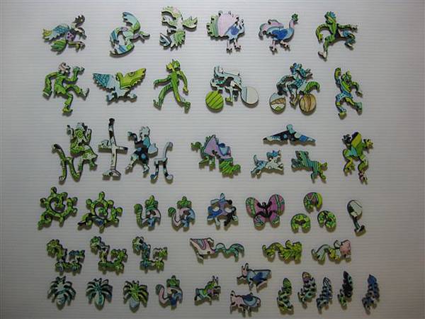 2014.01.29 374pcs Peacock (9).JPG