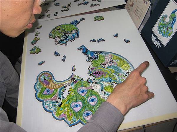 2014.01.29 374pcs Peacock (12).JPG