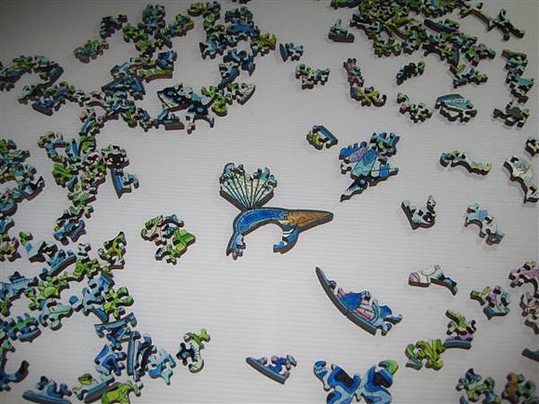 2014.01.29 374pcs Peacock (11).JPG