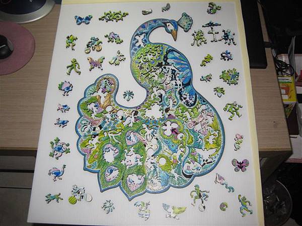 2014.01.29 374pcs Peacock (27).JPG