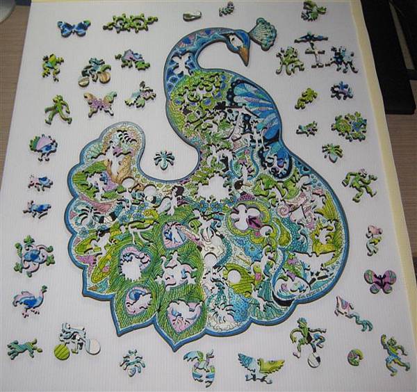 2014.01.29 374pcs Peacock (28).JPG