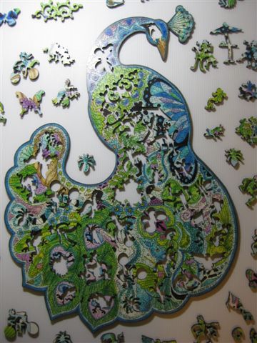 2014.01.29 374pcs Peacock (30).JPG