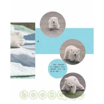 我家的北極熊寶寶‧Peace1