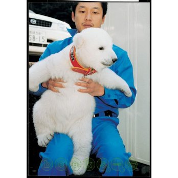 我家的北極熊寶寶‧Peace2