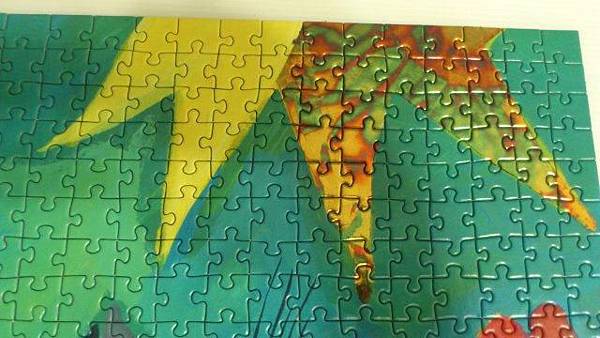 2014.03.17 1000P Flowerbed (6).jpg