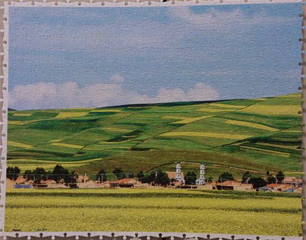 2014.03.21 1000pcs Qinghai - The Sea of Rape Flowers.jpg