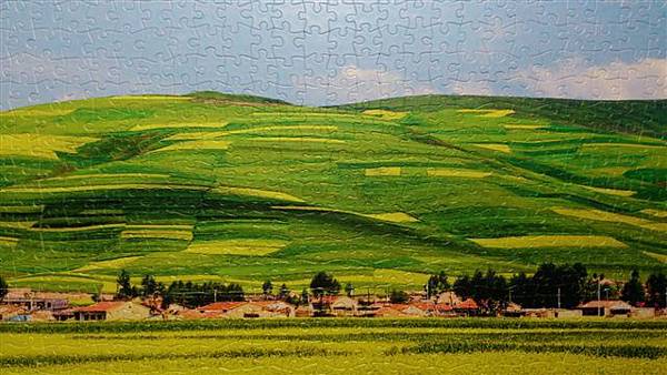 2014.03.21 1000pcs Qinghai - The Sea of Rape Flowers (4).jpg